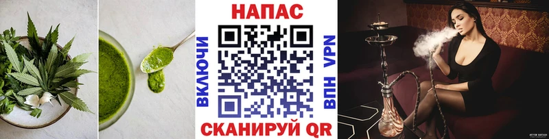 Купить где  Новоалтайск  Cannafood конопля 