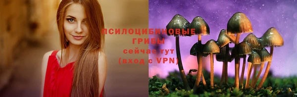 apvp Заволжье