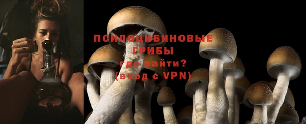 тгк Заволжск