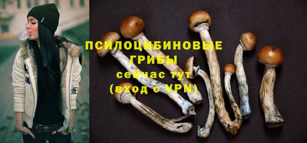 стаф Зеленокумск